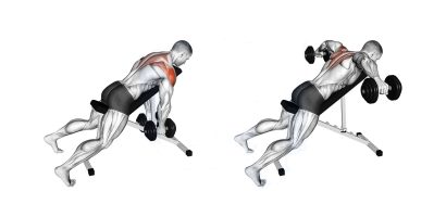 Incline Bench Rear Delt Raise