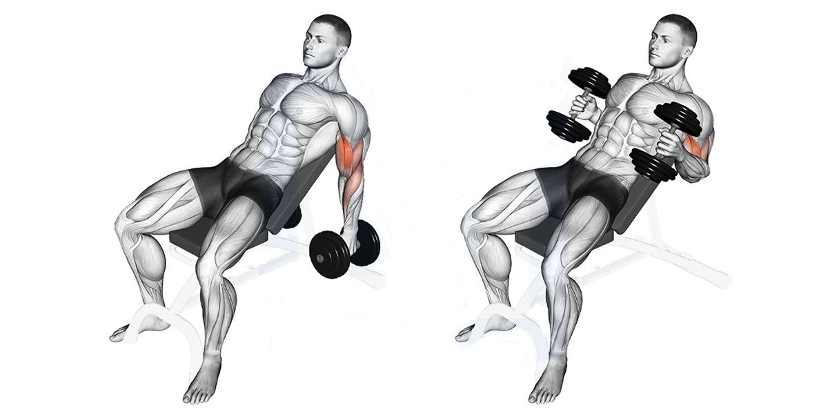 Incline Hammer Curl