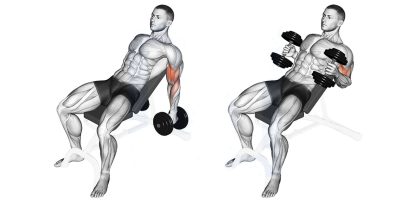 Incline Hammer Curl