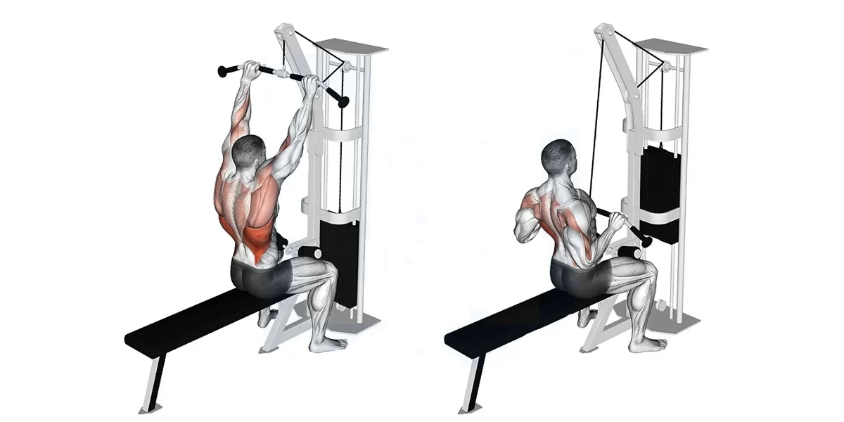 Lat Pulldown