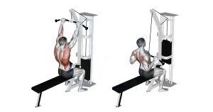 Lat Pulldown