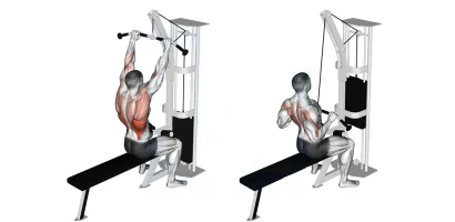 Lat Pulldown