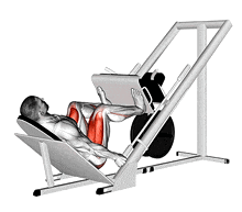 Leg Press