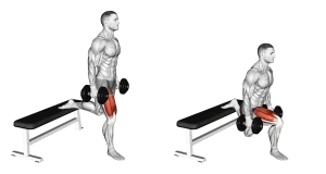 Master Leg Torcher Dumbbell Bulgarian Split Squat