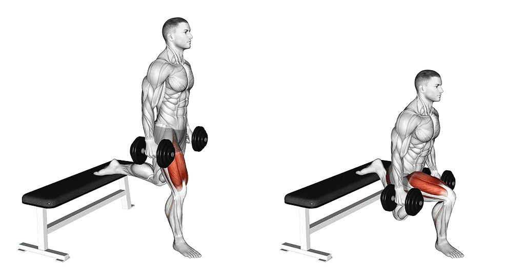 Master Leg Torcher Dumbbell Bulgarian Split Squat