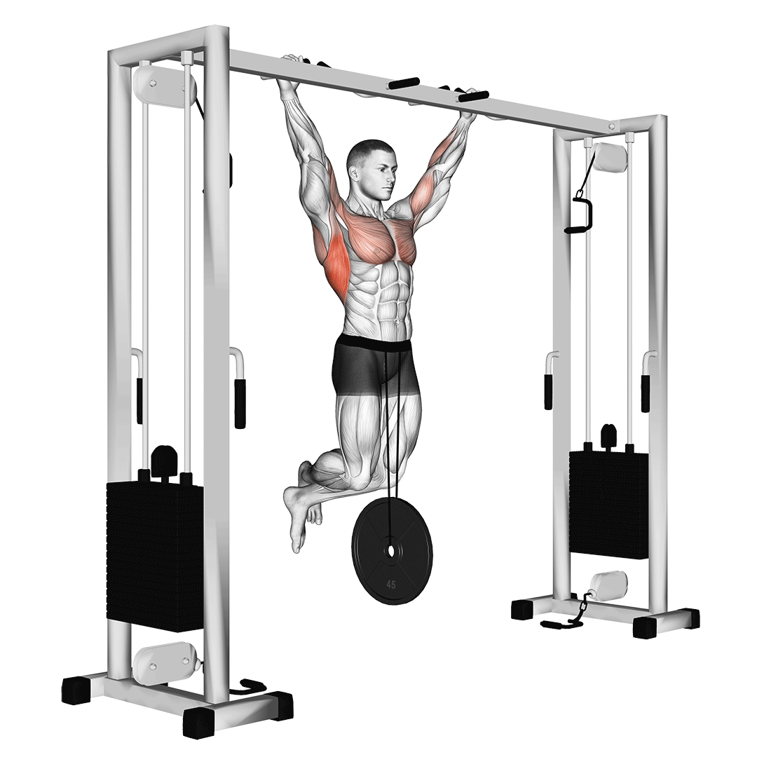 Maximum Ppull-up Strength And Body Weight