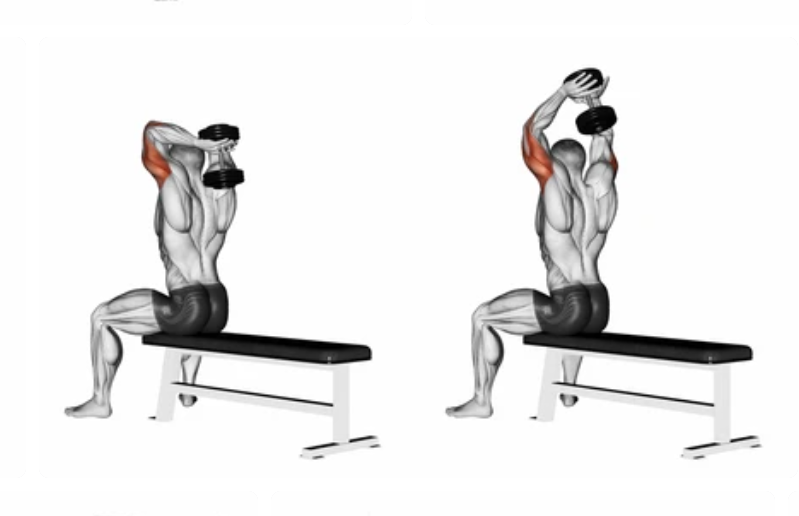 Overhead Dumbbell Triceps Extensions
