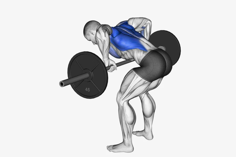 Pendlay Rows