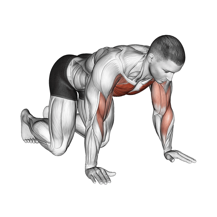 Plank Shoulder Taps