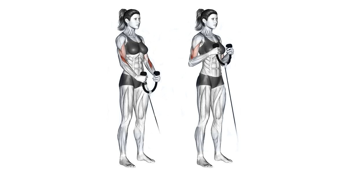 Reverse Bicep Curl How to Do It and Top Variations