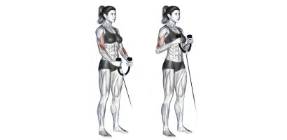 Reverse Bicep Curl How to Do It and Top Variations