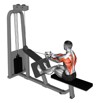 Seated Cable Row