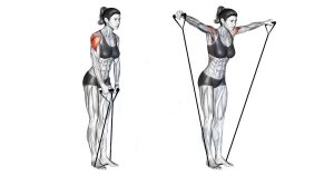 Side Band Raises for Lateral Delts