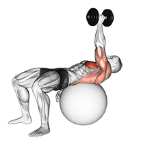 Single-Arm Dumbbell Pullover