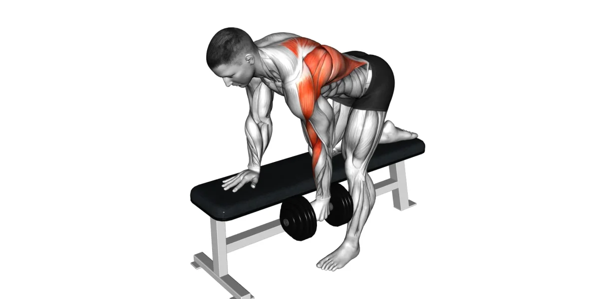 Single Arm Dumbbell Row Exercise