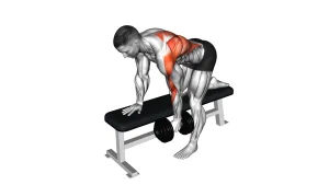 Single Arm Dumbbell Row Exercise