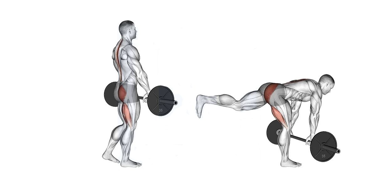 Single Leg Deadlifts