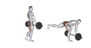 Single Leg Deadlifts