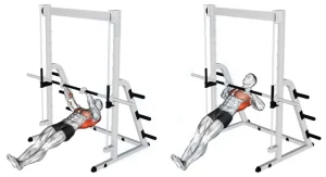 Smith Machine Inverted Row for Back Strength