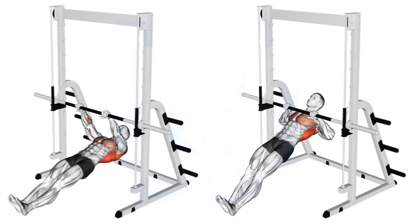 Smith Machine Inverted Row for Back Strength