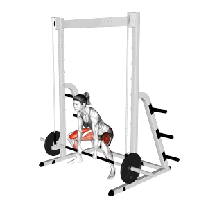 Smith machine Romanian Deadlift