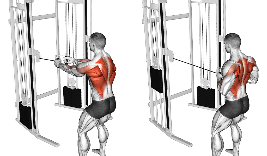 Standing Cable Row