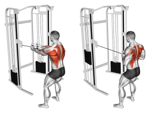 Standing Cable Row