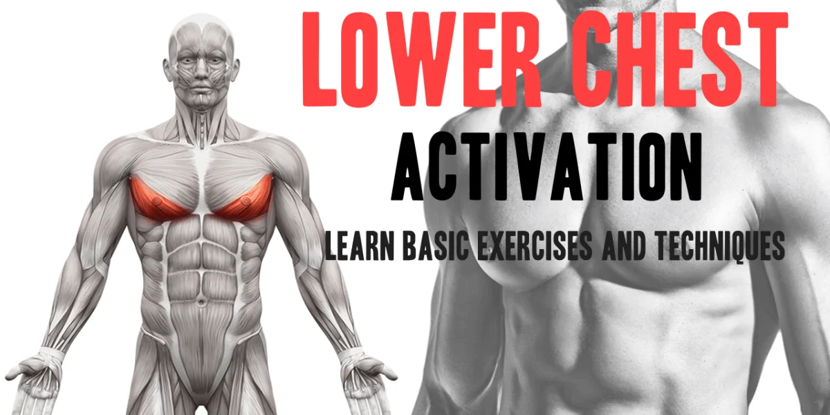 The Best Chest Workouts for Lower Chest Effectively