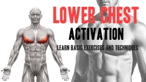 The Best Chest Workouts for Lower Chest Effectively
