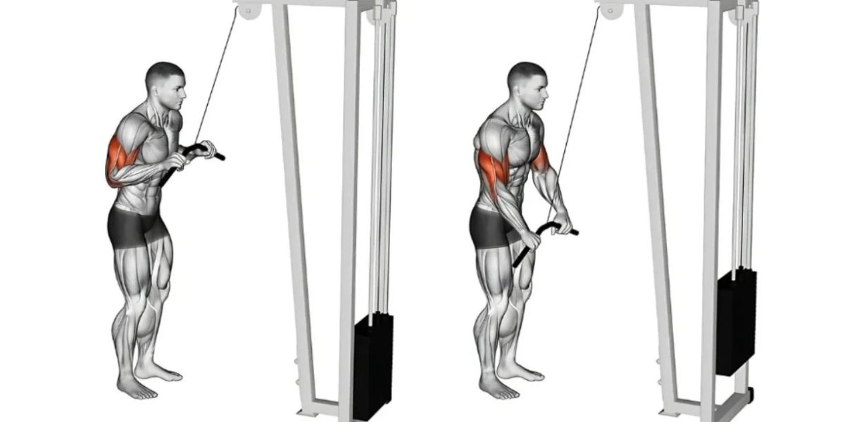 Tricep Pushdown