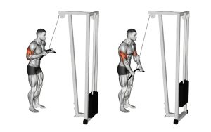 Tricep Pushdown