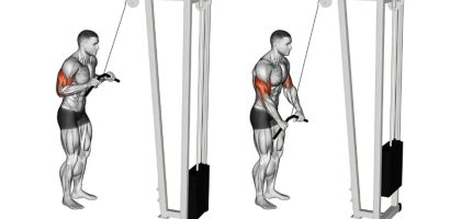 Tricep Pushdown