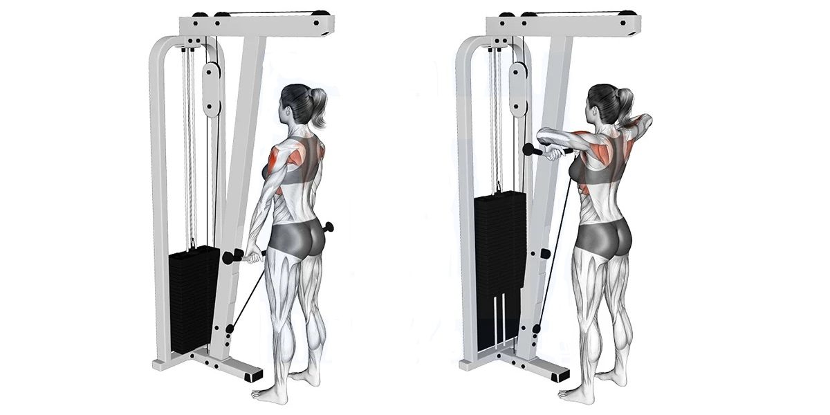 Upright Cable Row