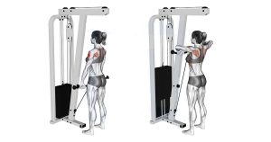Upright Cable Row