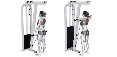 Upright Cable Row