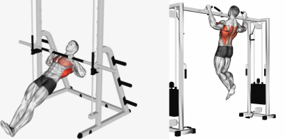What Your Back Needs Inverted Row vs Pull Up Muscles