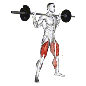 What is a Barbell Squat