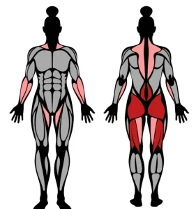 What is the Smith Machine Deadlift