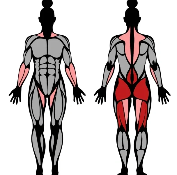 What is the Smith Machine Stiff-Leg Deadlift