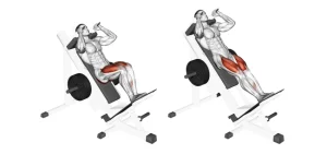 Why Do Hack Squats Hurt My Knees