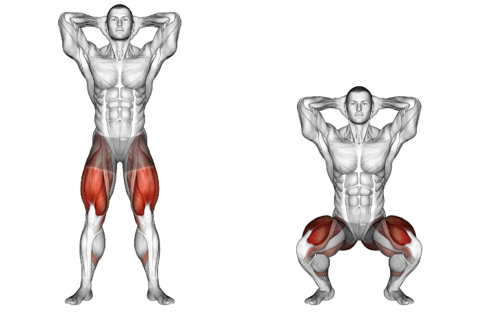 bodyweight squats