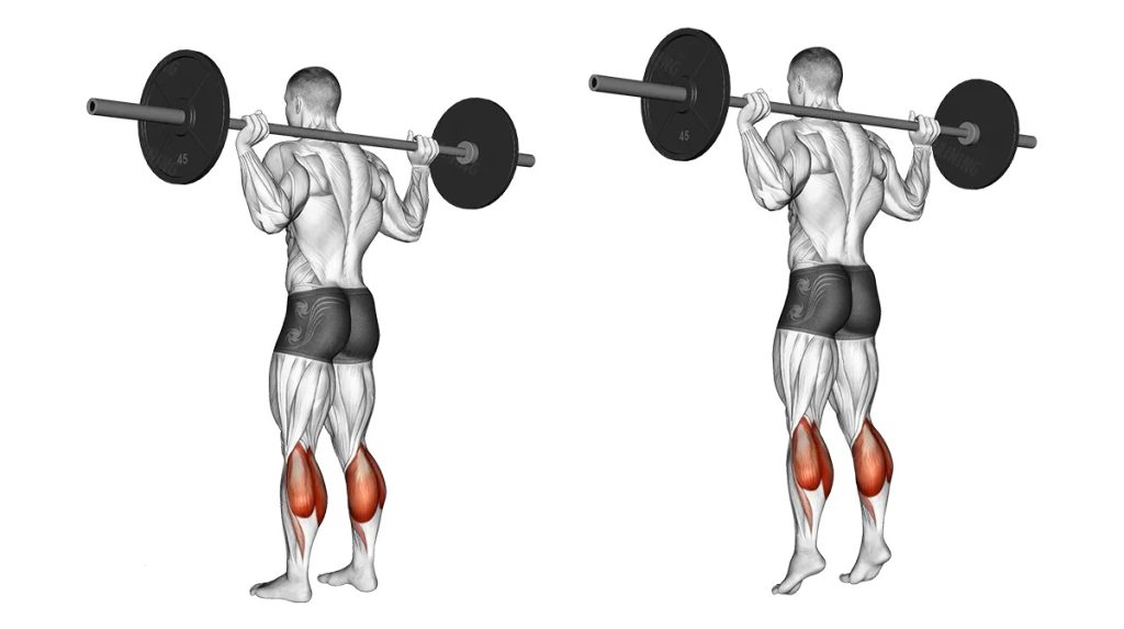 barbell leg exercises no rack
