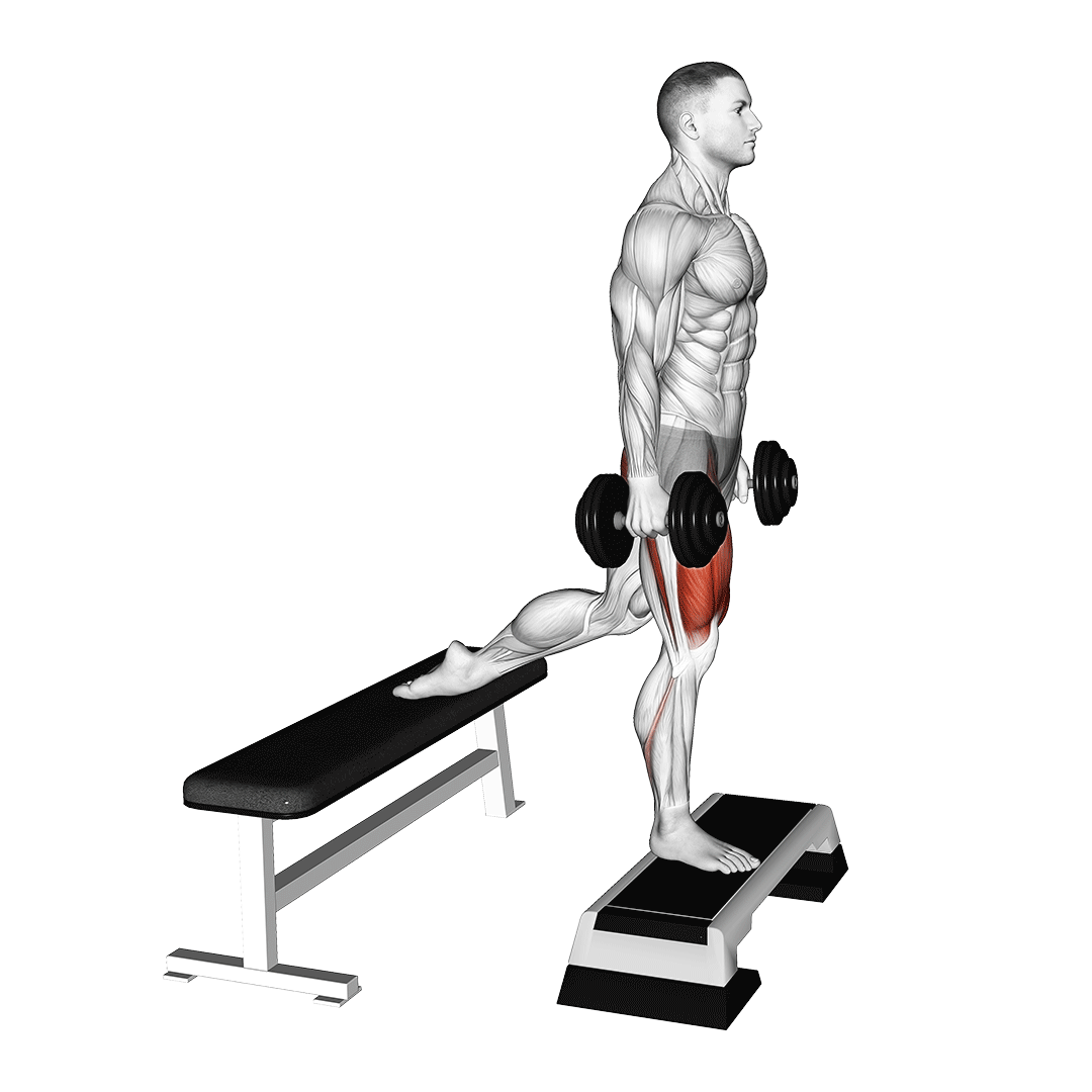dumbbell Split Squat