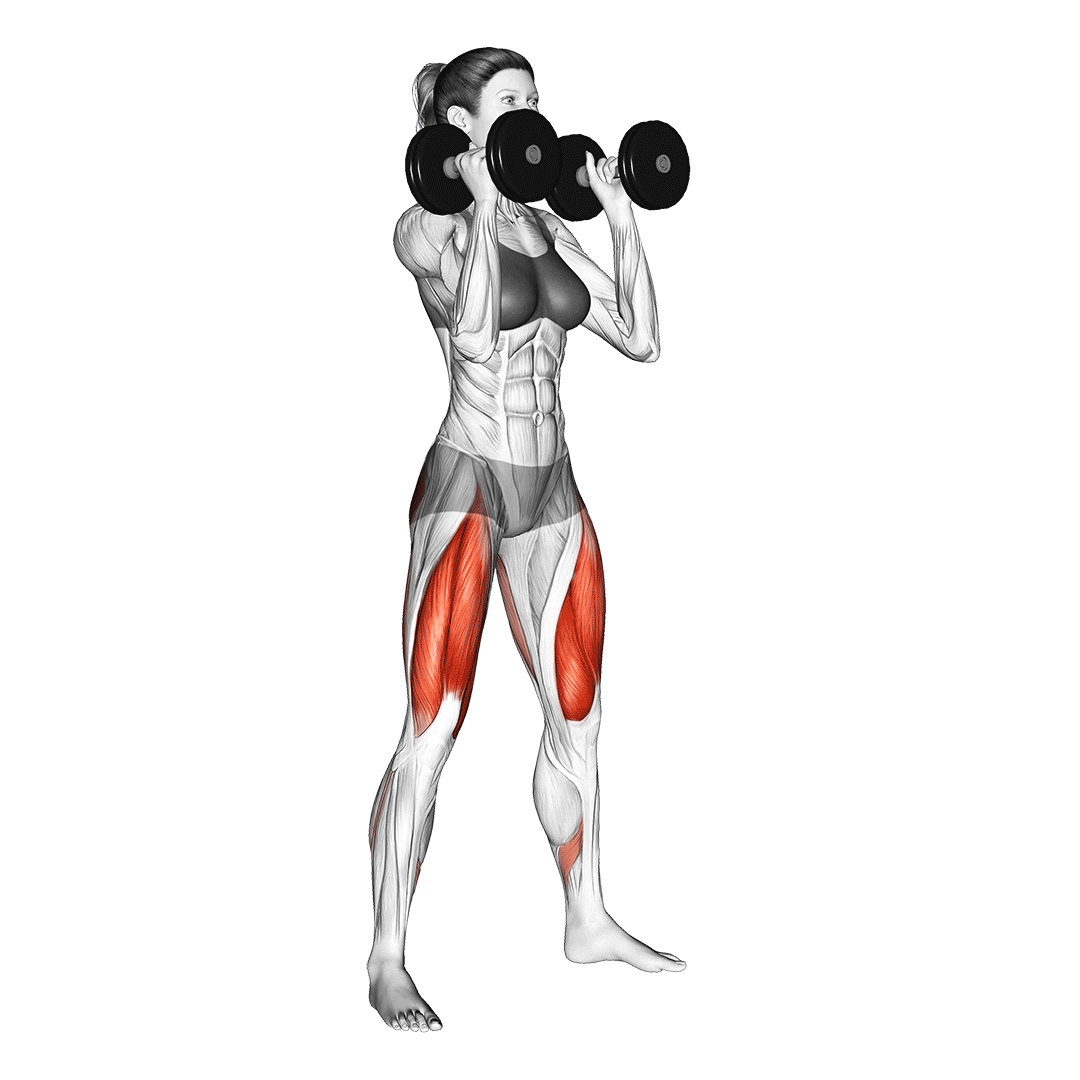 dumbbell front squats