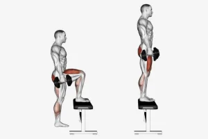 dumbbell quad exercises