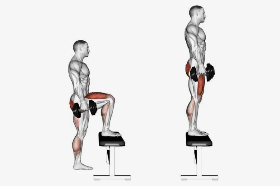 dumbbell quad exercises