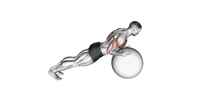 medicine ball plank ball taps