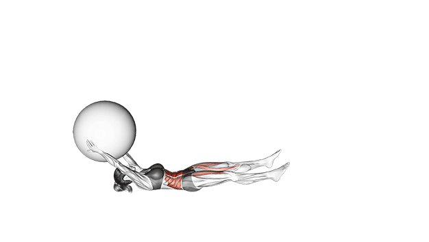 medicine ball toe taps