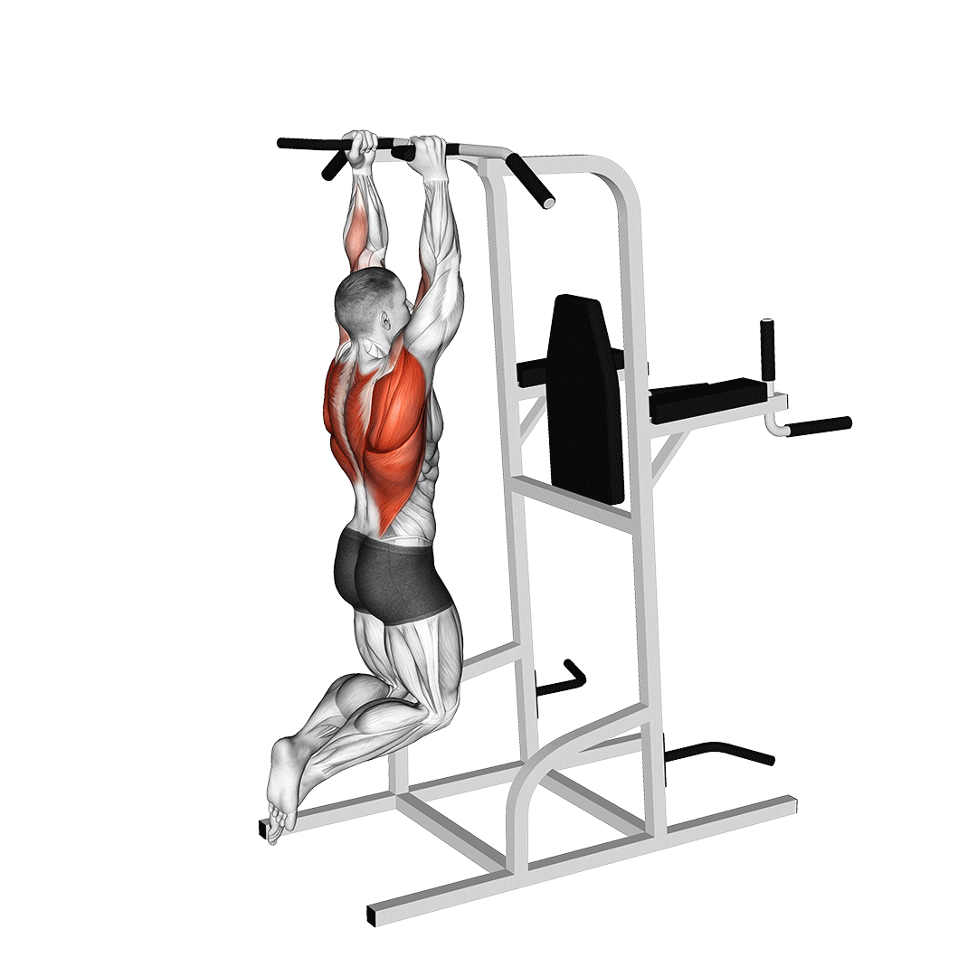 neutral grip pull ups