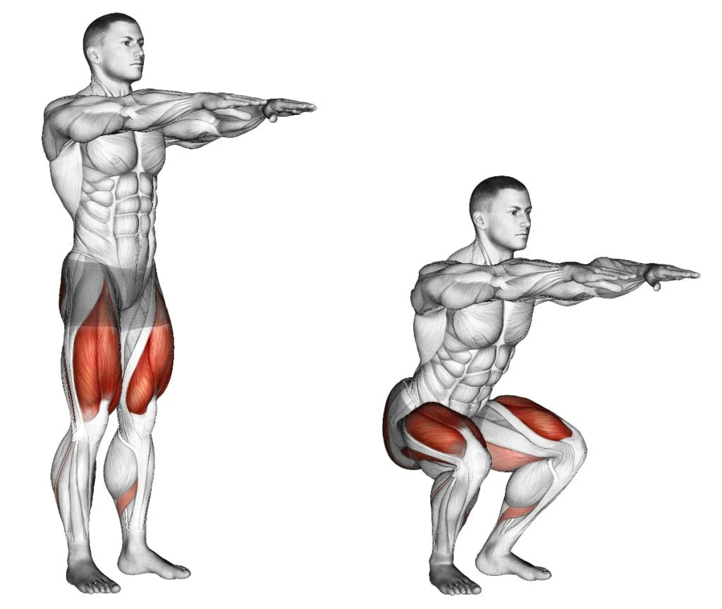 sumo squats (bodyweight)